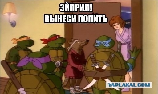 Правильные черепашки ниндзя