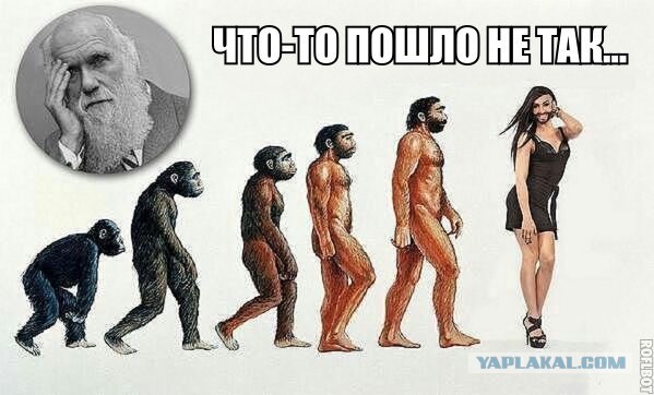 Да что ты понимаешь в мужской моде?