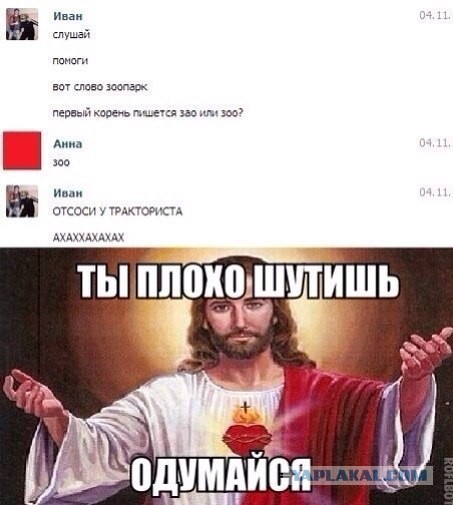 Свежие картинки из сети