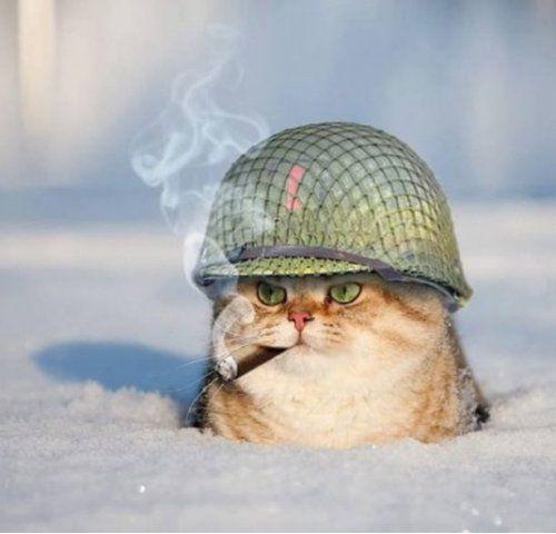 Снаряды