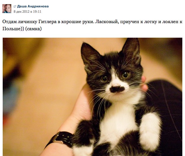 Смешные комментарии из социальных сетей