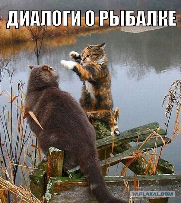 Немного картинок и юмора