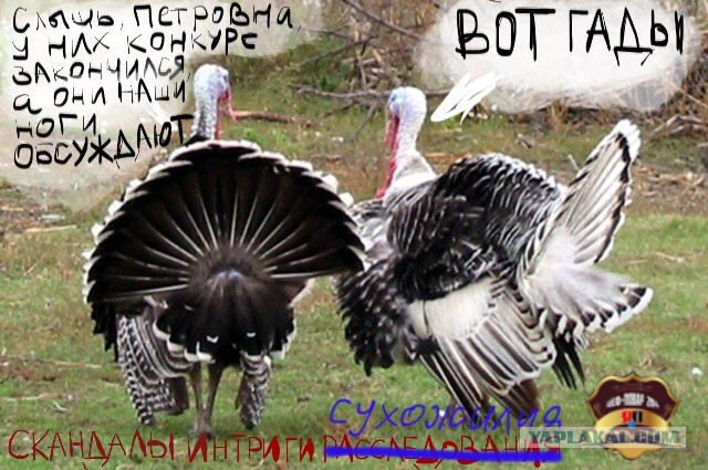 Итоги Кулинарного конкурса