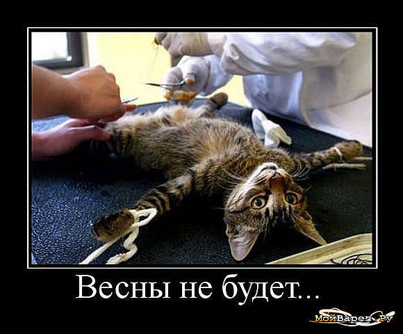 Демотиваторов пост