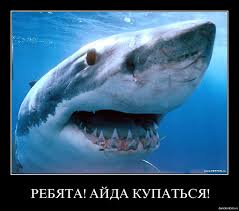 Фигасе...