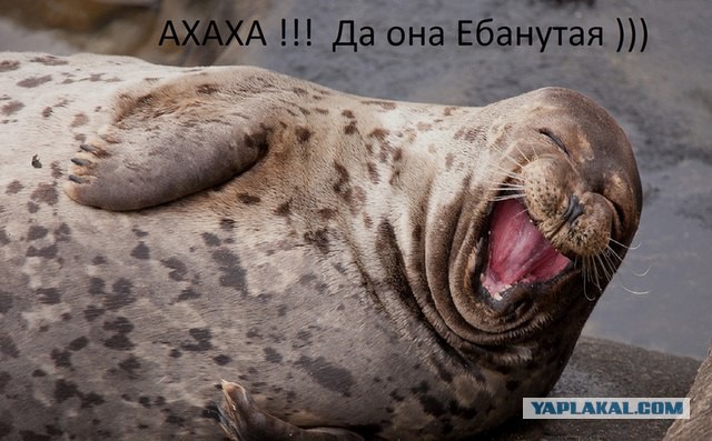Меня взломал Пентагон.