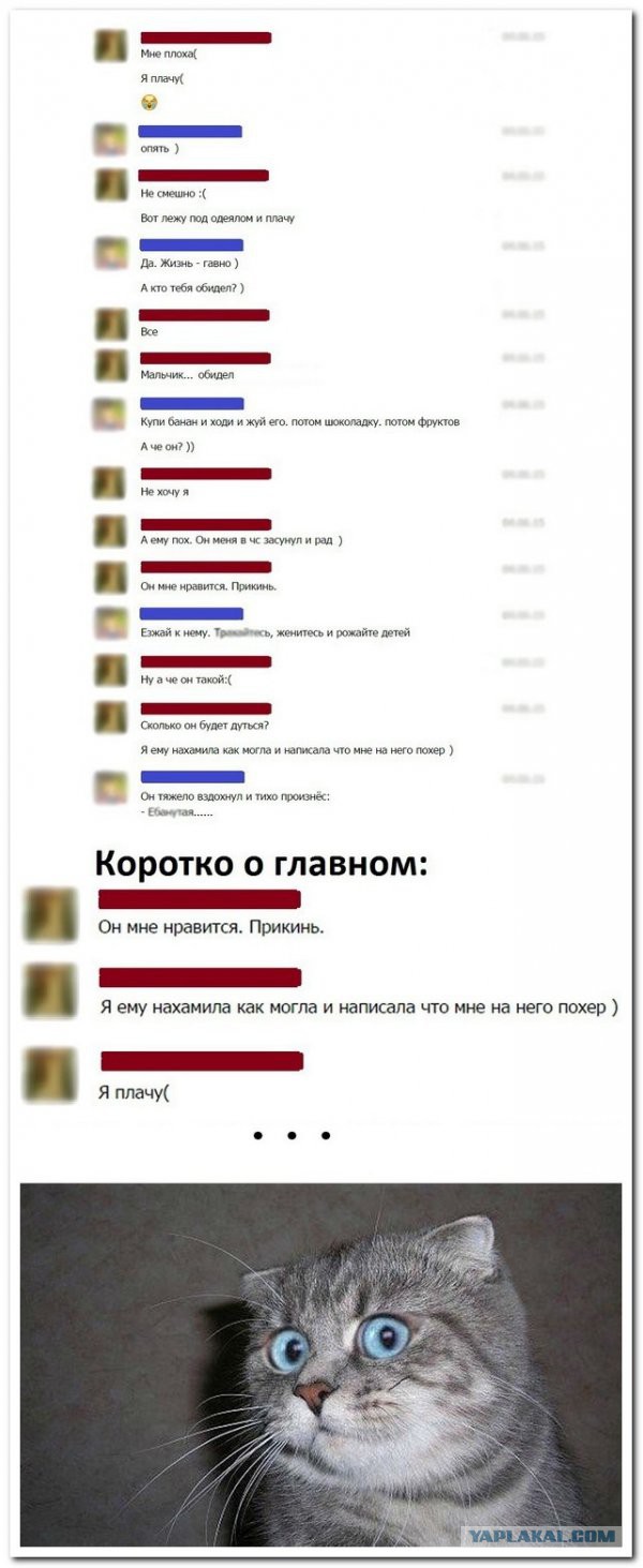 Смешные комментарии из социальных сетей