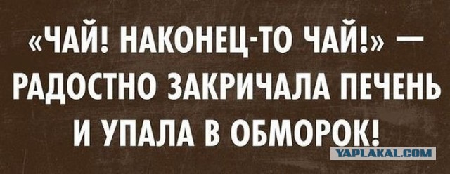 Не с кем сегодня побухать?