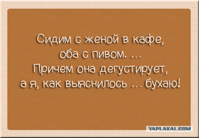 Плюшкиным посвящается