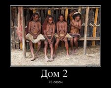 Плюшкиным посвящается
