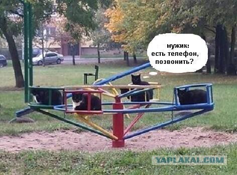 Я иду через парк и вдруг