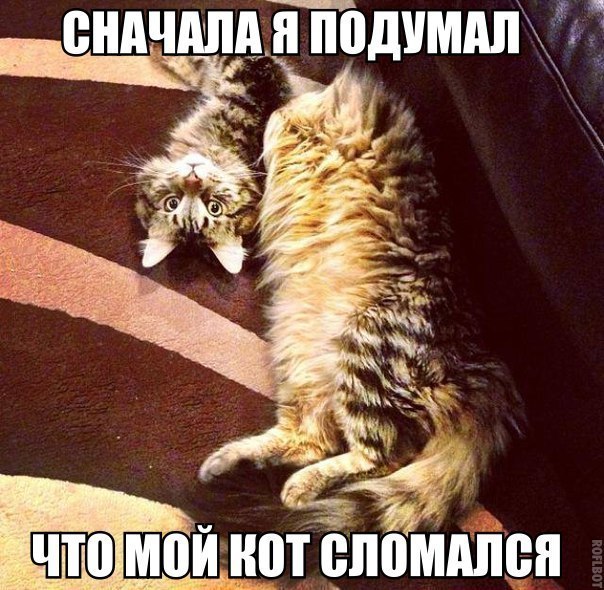 Подборка прикольных фото на пятницу