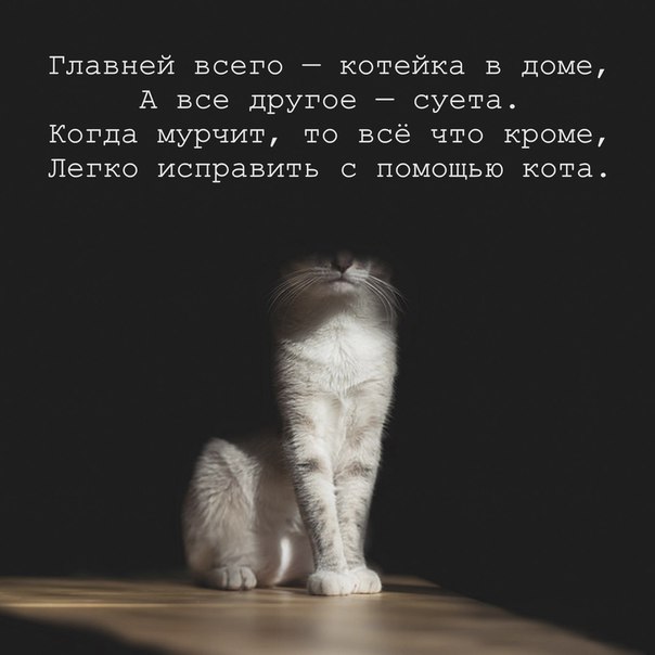 Картинки на пятницу