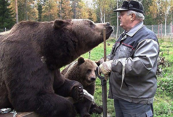 Где то в России