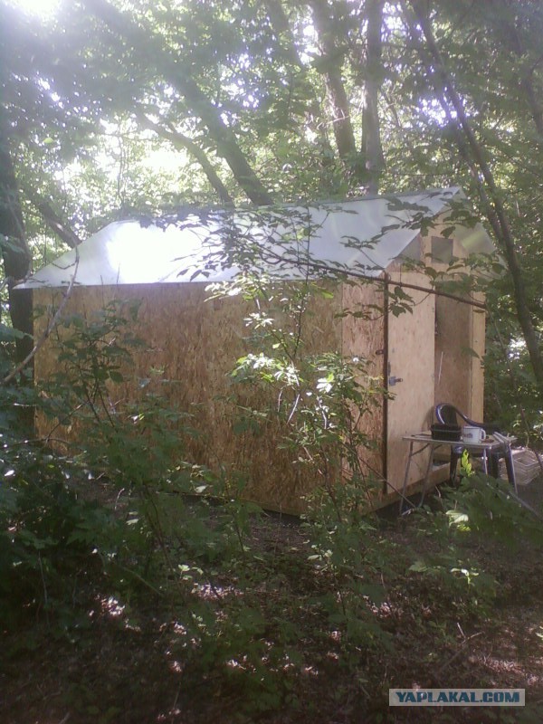 4 руки и 3 дня