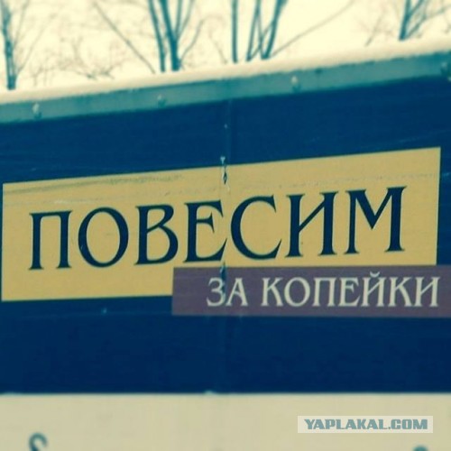 Веселые картинки