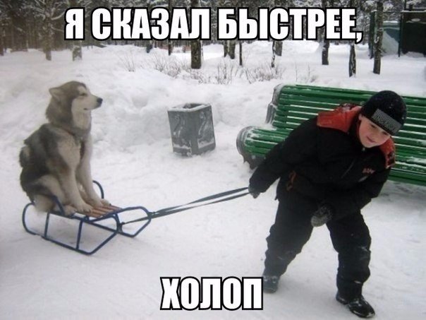 Веселые картинки