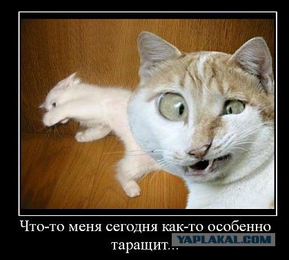 Демотиваторы на пятницу!