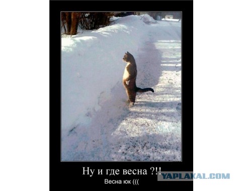 Смешные картинки