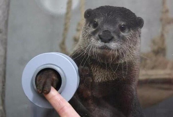 Прикольная фотоподборка