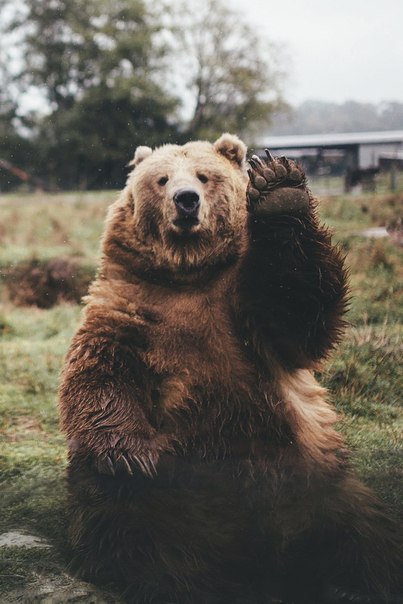 Интересные и веселые картинки