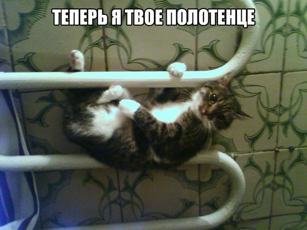 Мохнатые беспредельщики