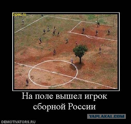 Письмо для Мутко