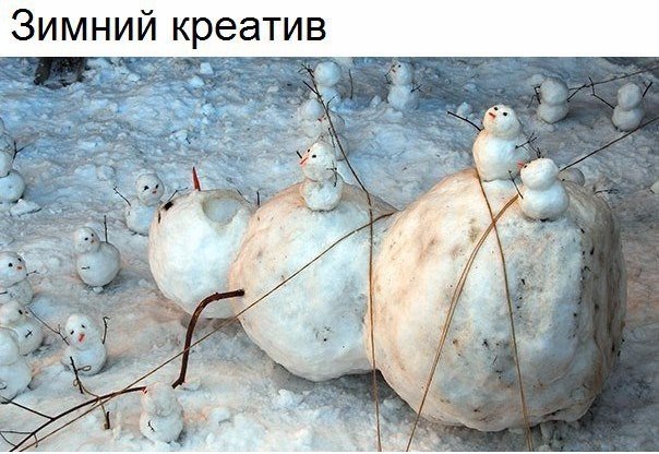 Забавные картинки вразнобой