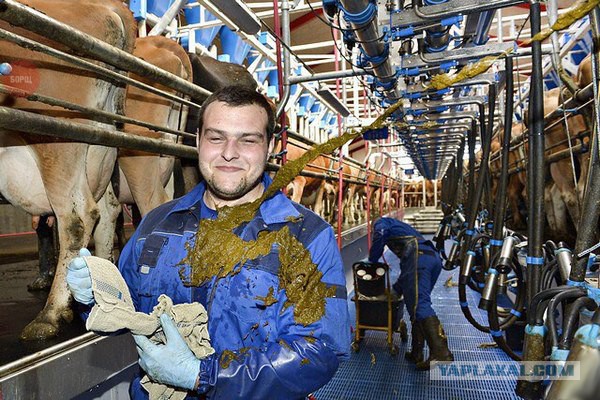 Подборка интересных и веселых картинок