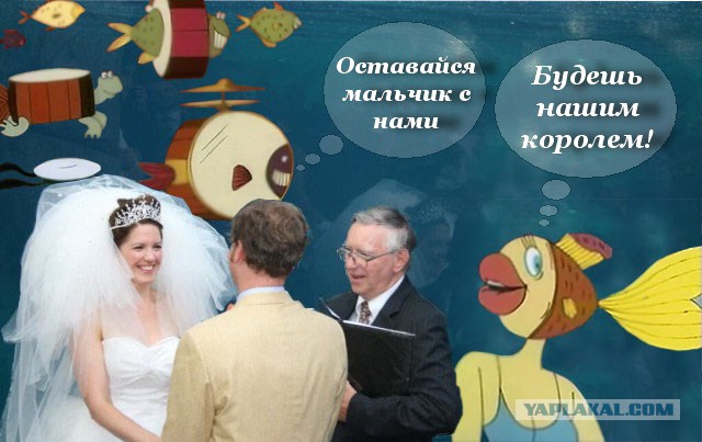 Белый кит испортил свадебное фото