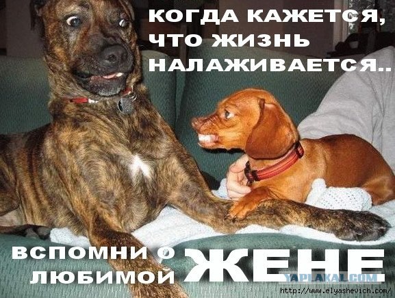 Как женщины выносят мозг мужикам