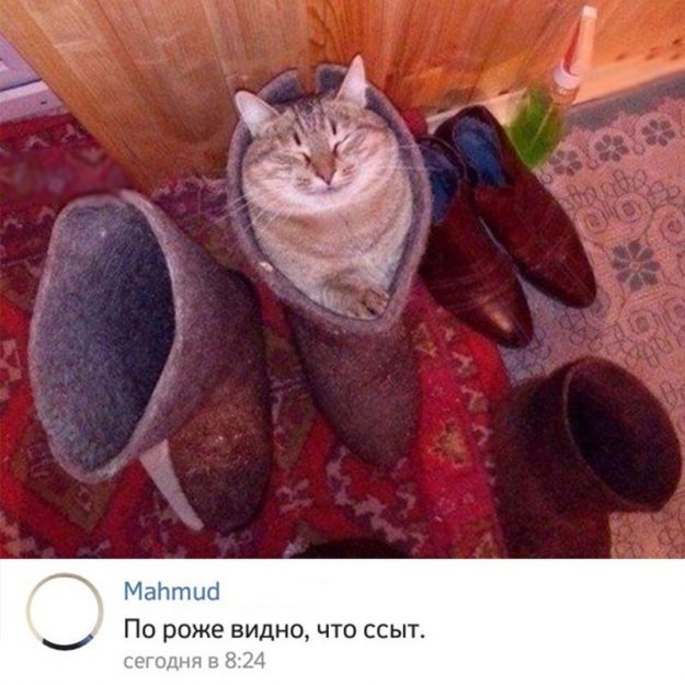 Комментарии из соцсетей