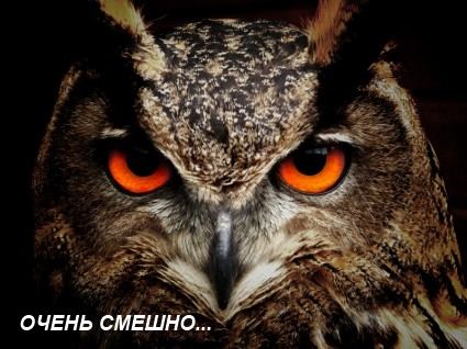 Итоги проверки пользователей
