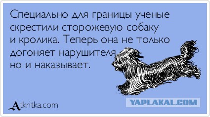 Гусары... По коням!
