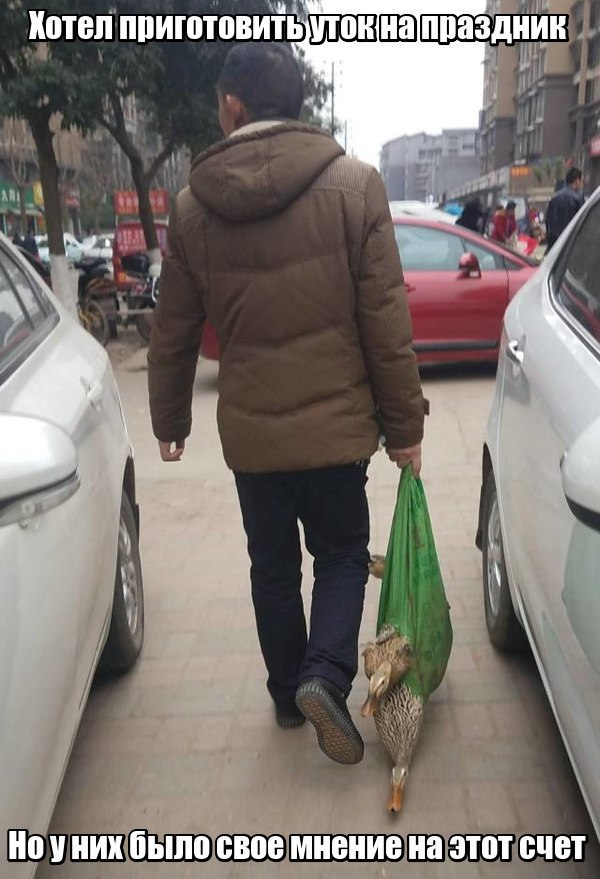 Нестандартный юмор
