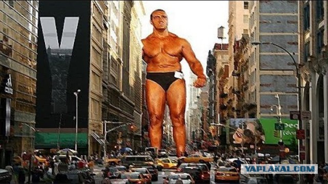 Первый день после качалки