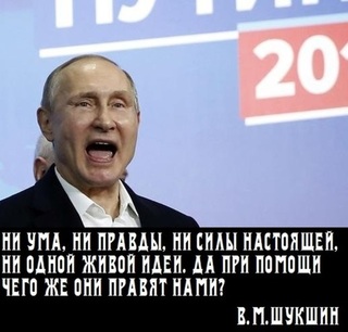 Вице-губернатор Петербурга подал в отставку. После жалобы местной активистки Путину