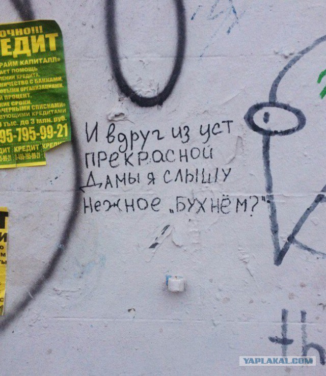 «Бродячие» философы: 17 глубокомысленных заметок в транспорте и на улицах