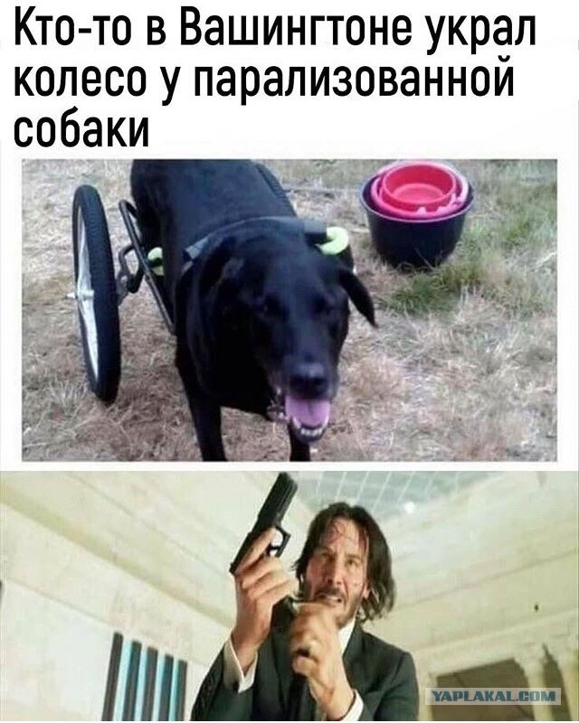 Немного картинок для настроения