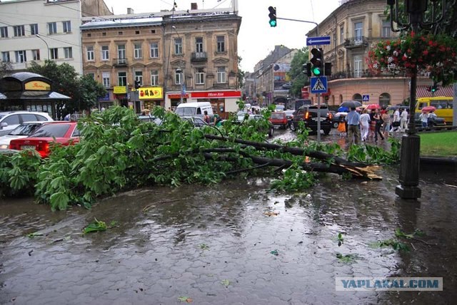 Ураган во Львове.
