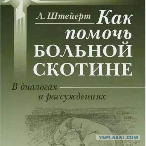 Звезда сериала «Кадетство» задержан за избиение врачей в Москве. Речь про "Гниду из Кадетства"