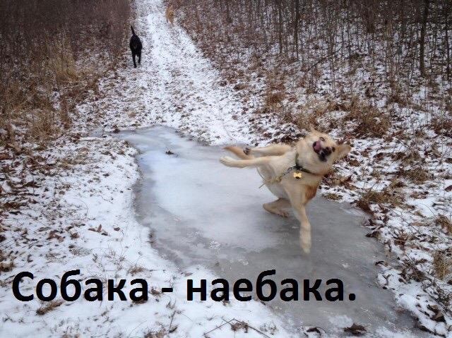 Раевская про вирус и карантинные мероприятия