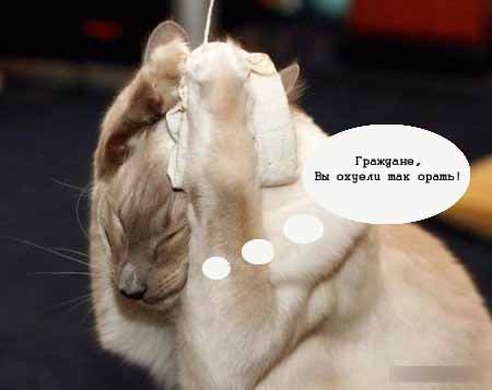 Фотожаба: Граждане!