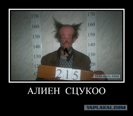Домовенок...