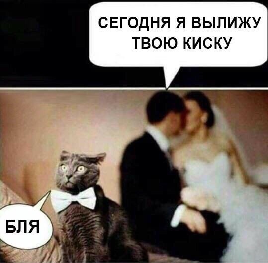 Дебилизмы из сети 8.02.21