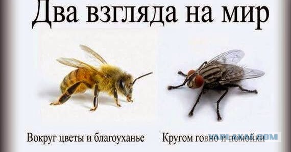 Эмиграция из России бьёт рекорды: статистика зашкаливает!