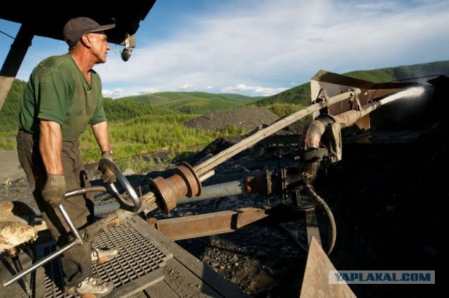 Тигр отужинал дрессировщиком