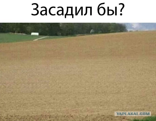Ничего на Свете лучше нету