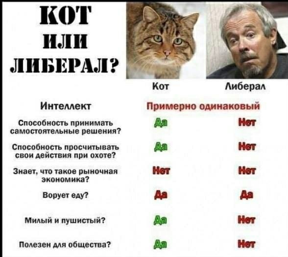 Смородская: хочу, чтобы футболисты сборной России встали на колено в поддержку BLM