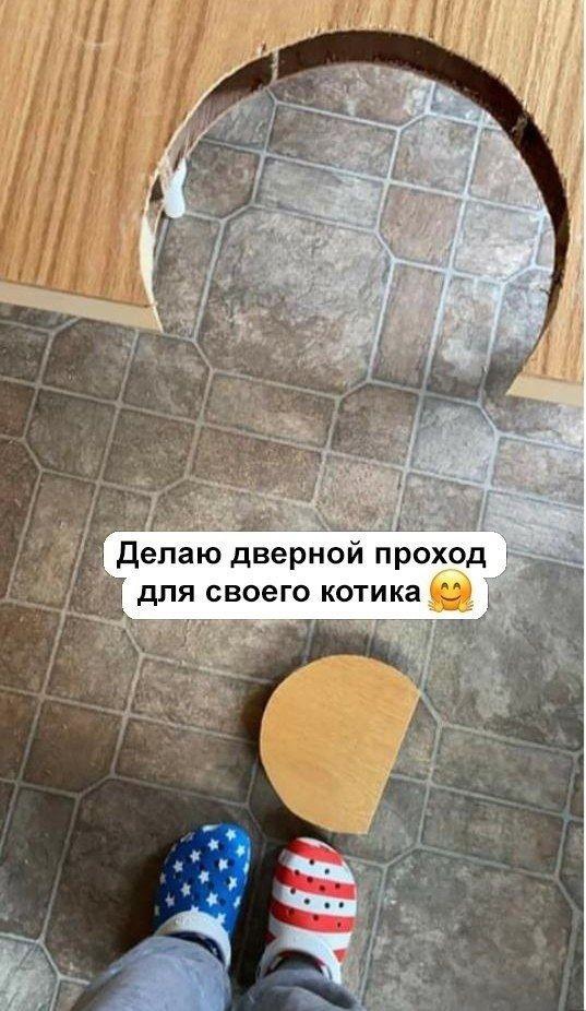 Так себе картинки 19.08.21